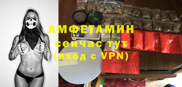 метадон Богданович